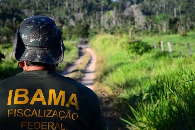 Ibama abre concurso público com 460 vagas e salário de R$ 9,9 mil