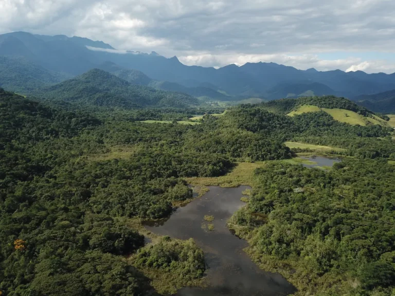 Dia Nacional das Reservas Particulares do Patrimônio Natural: O papel das RPPNs na conservação ambiental