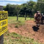 Produtor rural morre eletrocutado em cerca elétrica na zona rural de Orizona.