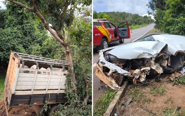 Acidente entre caminhão de bovinos e carro deixa três mortos em Bela Vista de Goiás